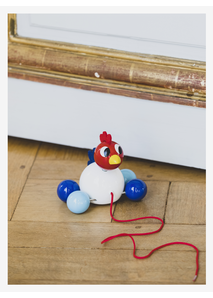 The rooster to walk