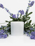 Bougie Parfumée - Provence
