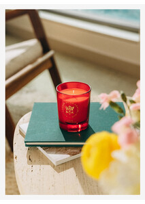 Bougie Parfumée - Cour d'Honneur 230g