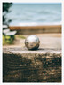 Pétanque Boules "RF" - Élysée x Obut