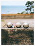 Boules de pétanque "Coco Rico" - Élysée x Obut