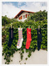 Coffret Duo Chaussettes brodées - Élysée x Maison Broussaud